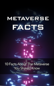Metaverse Facts book cover